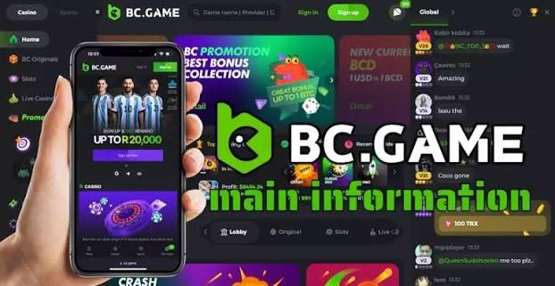 Explore the Best Offers on BC.CO